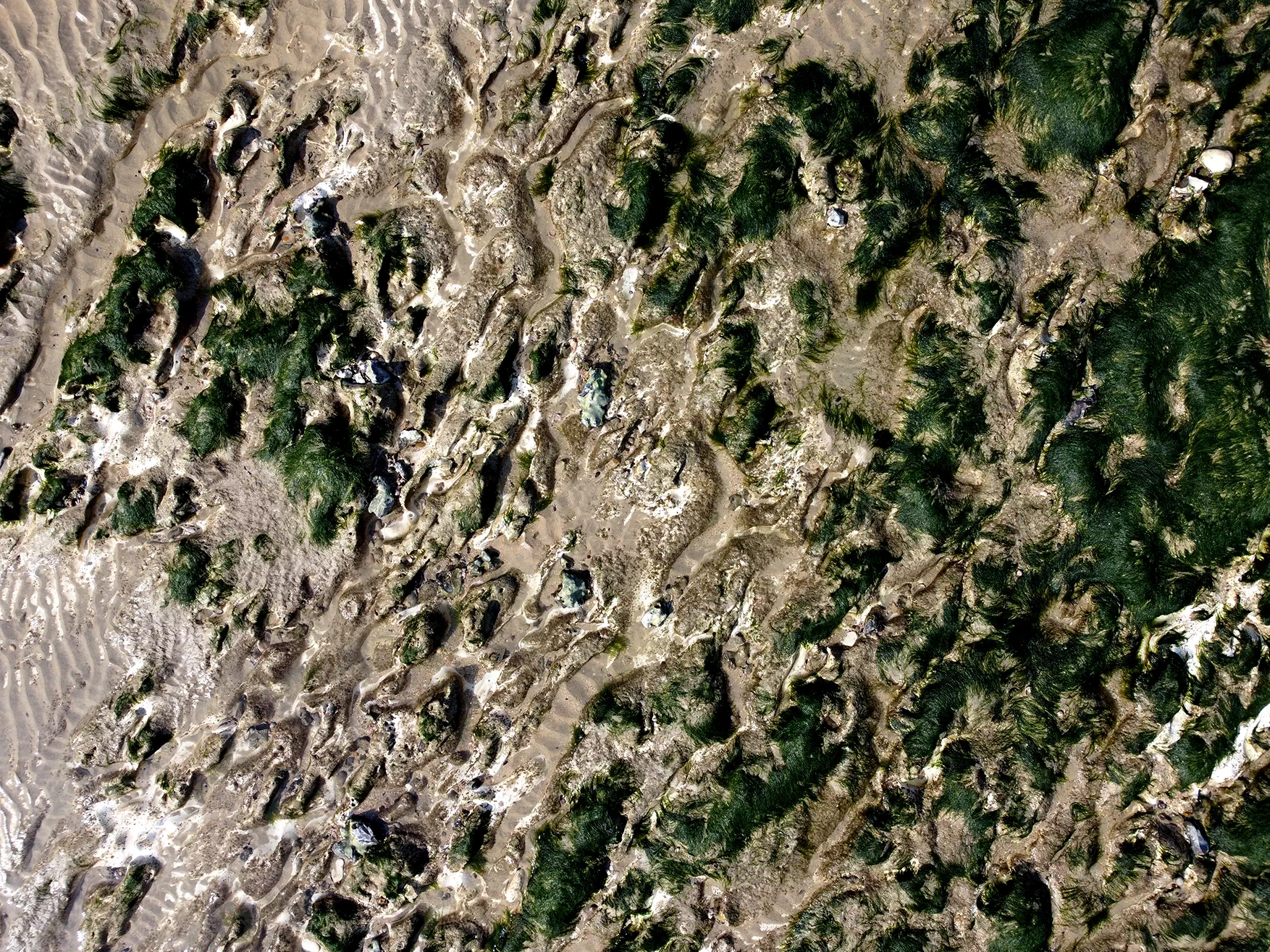photographie plage normandie abstrait minéral roche sable