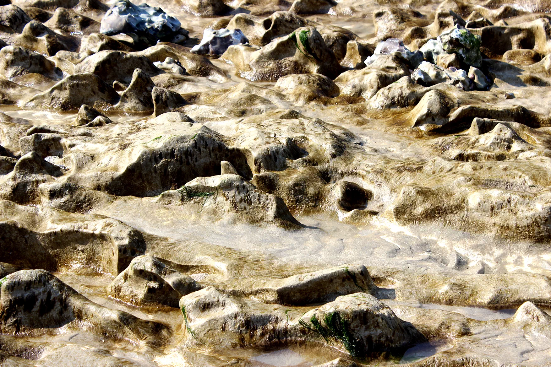 photographie plage normandie abstrait minéral roche sable