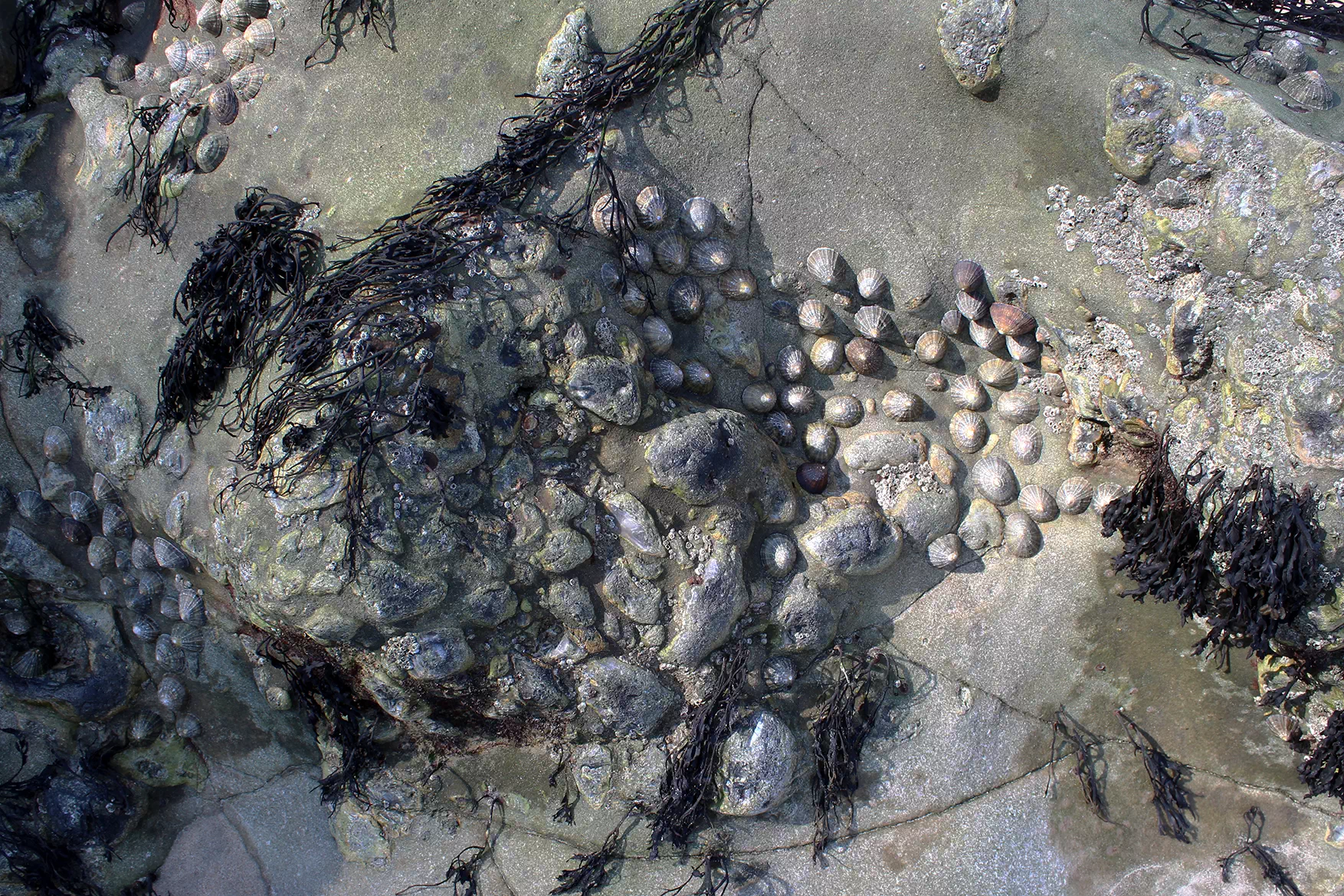 photographie plage normandie abstrait minéral roche sable