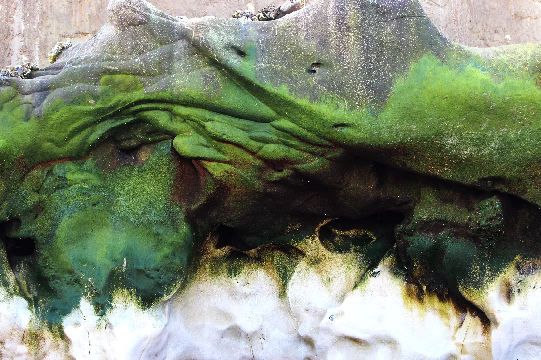 photographie plage normandie abstrait minéral roche sable