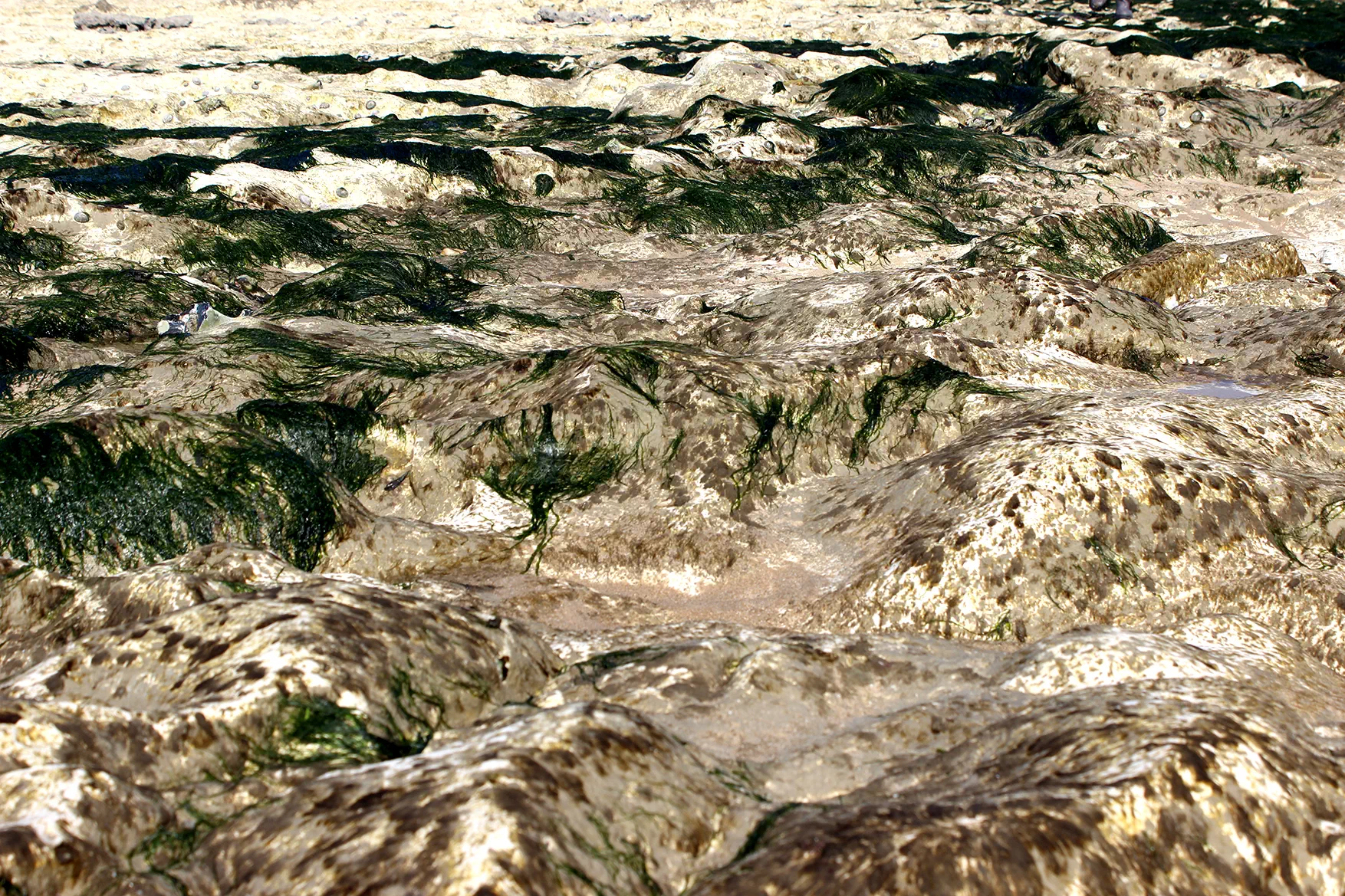 photographie plage normandie abstrait minéral roche sable